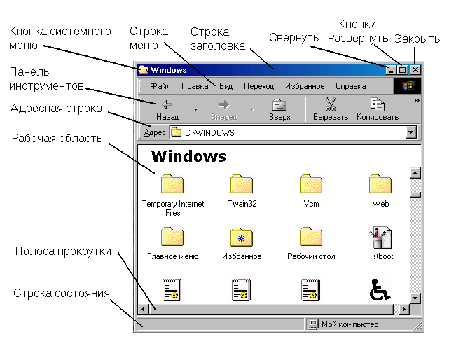 Окно папки. Структура окна папки. Структура окна Windows. Кнопки окна Windows. Кнопка сворачивания окна программы.