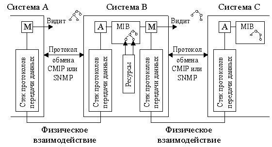 Система видит